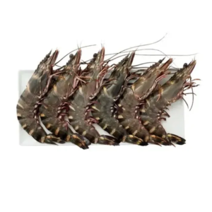 black tiger shrimp size l per kg