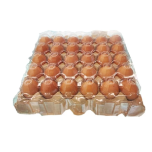 chicken egg #1 cover 30 pcs
