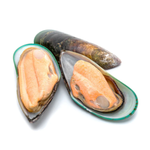 eaproducts frozen half shell new zealand mussel01