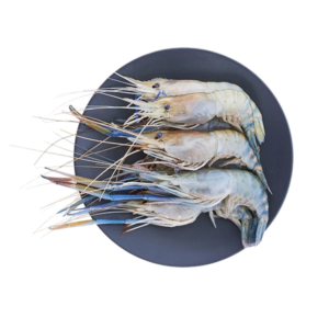 female prawn (m) 1 kg