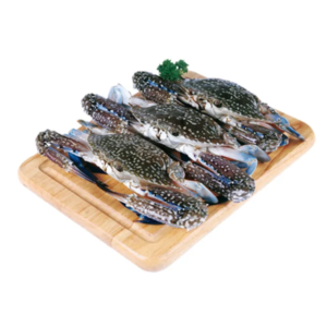 frozen blue swimming crab male size 80 100 g