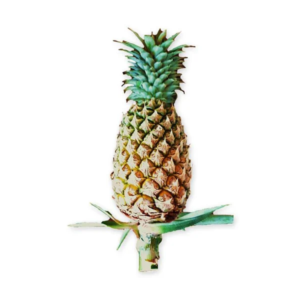 Home tard sri thong pineapple 1 pc