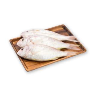 treadfin breams size m 1 kg